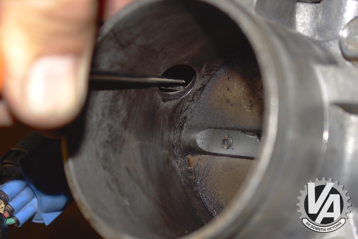 Zoom in IACVport.jpg