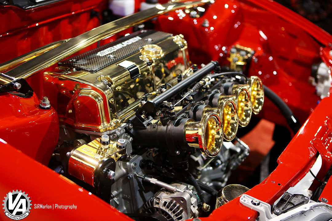 Zoom in IMG_6849.jpg