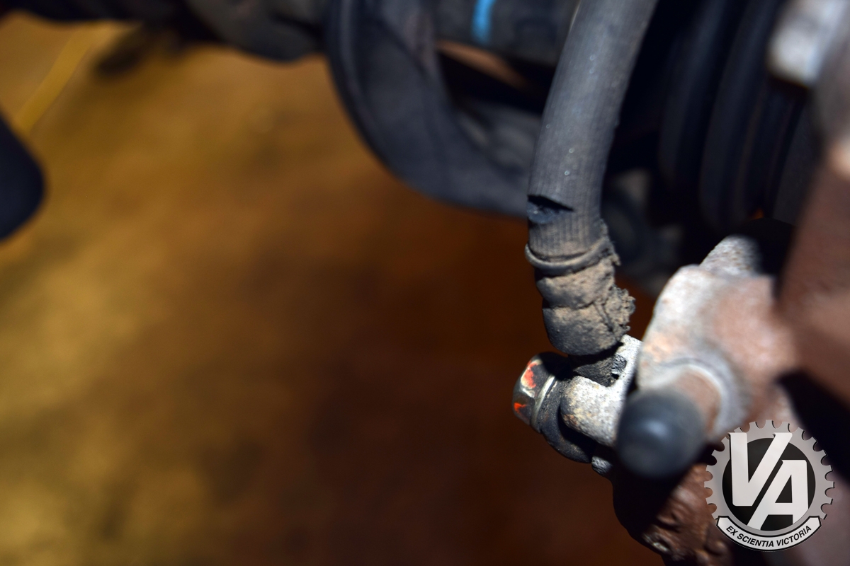 Zoom in DSC_0017.jpg