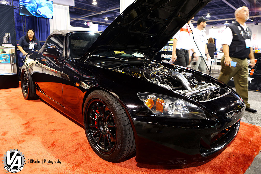 Zoom in IMG_6843.jpg