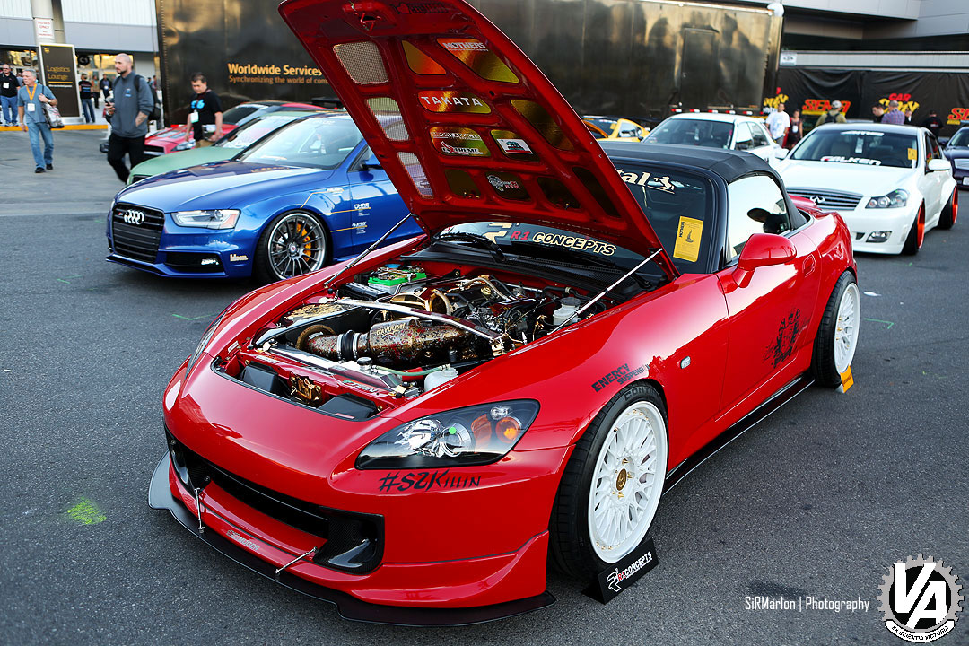 Zoom in IMG_6557.jpg