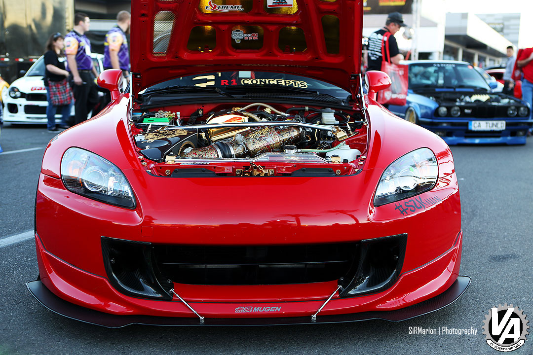 Zoom in IMG_6554.jpg