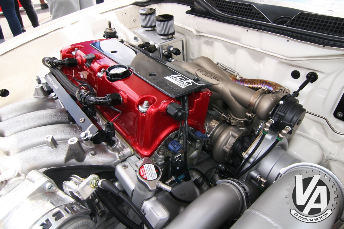 Zoom in IMG_5186.jpg