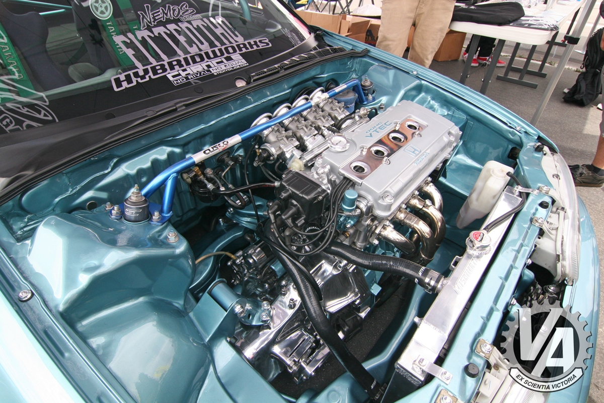 Zoom in IMG_5196.jpg