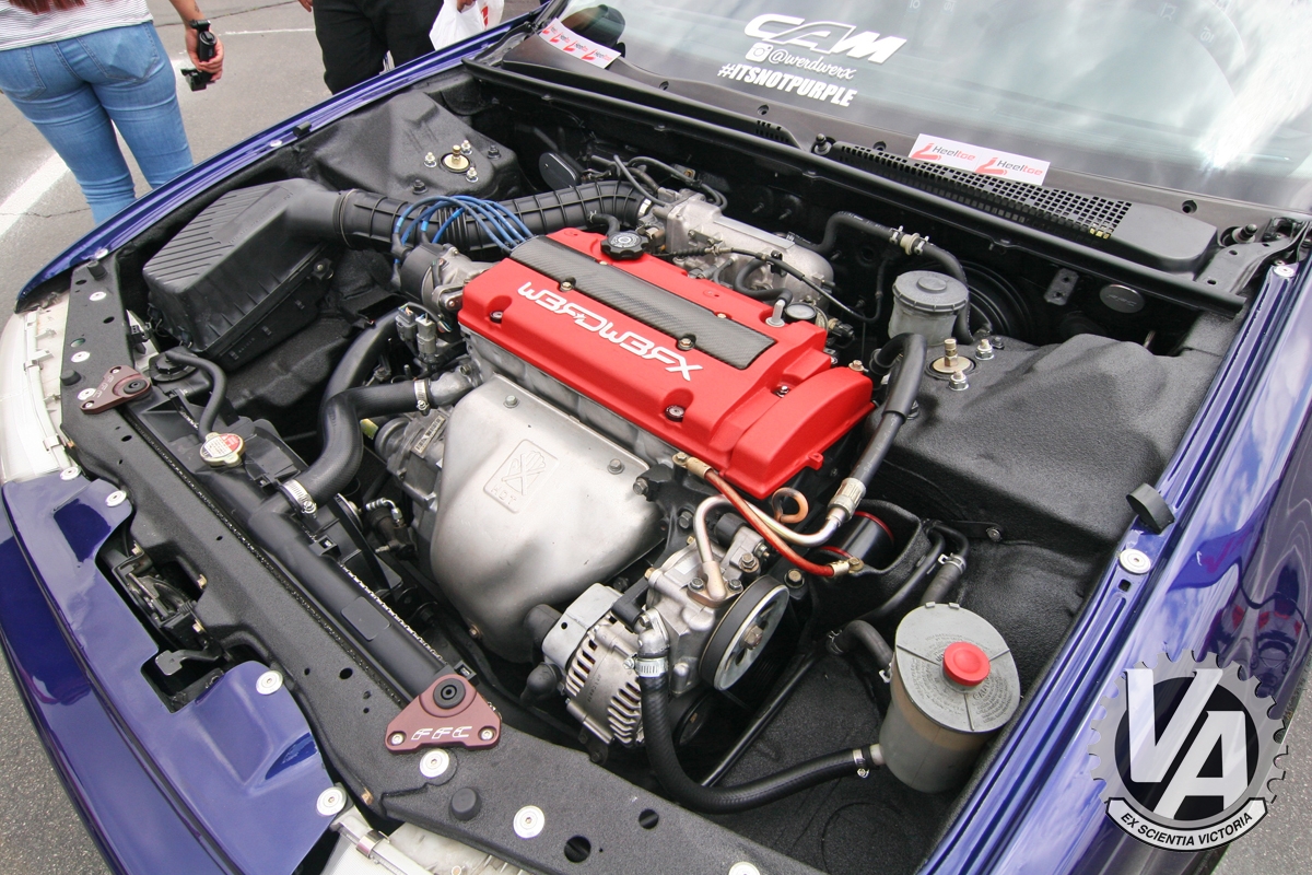 Zoom in IMG_5220.jpg