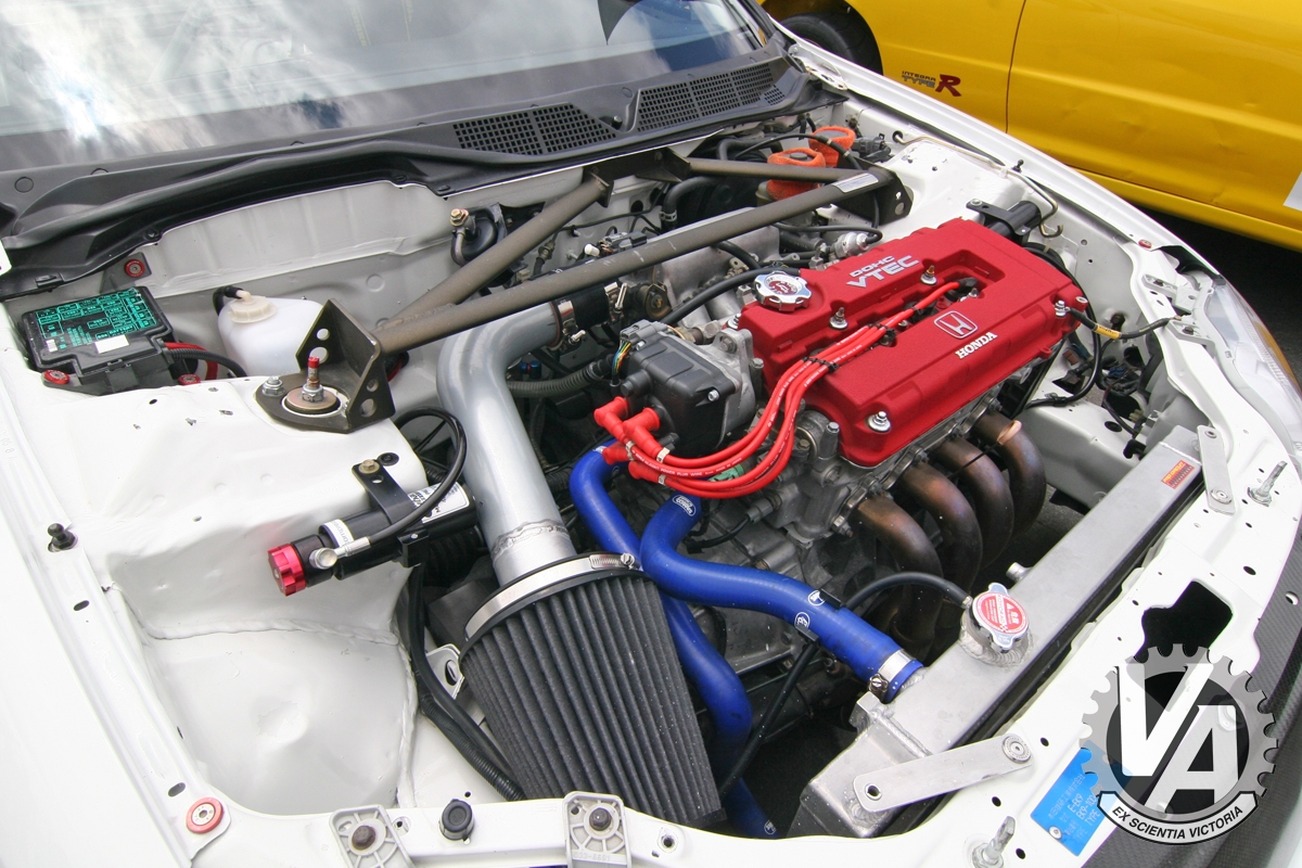 Zoom in IMG_5229.jpg