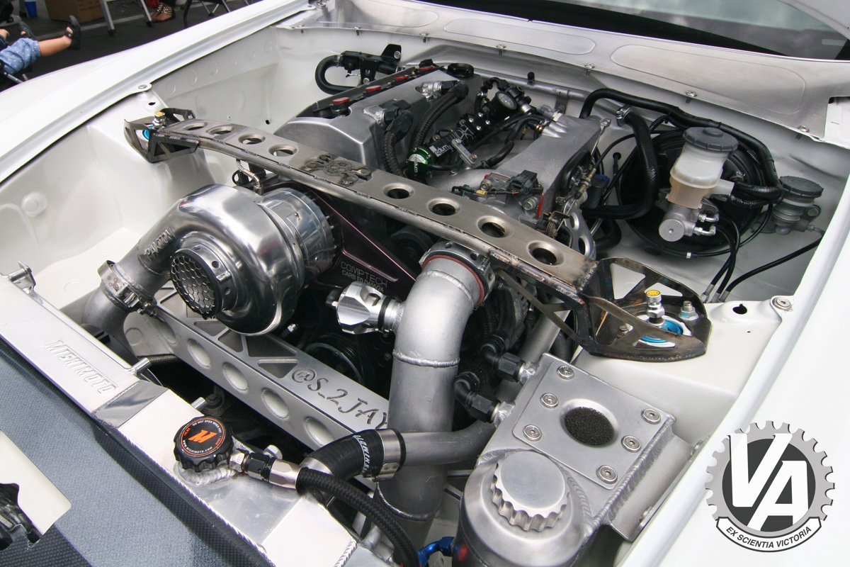 Zoom in IMG_5230.jpg