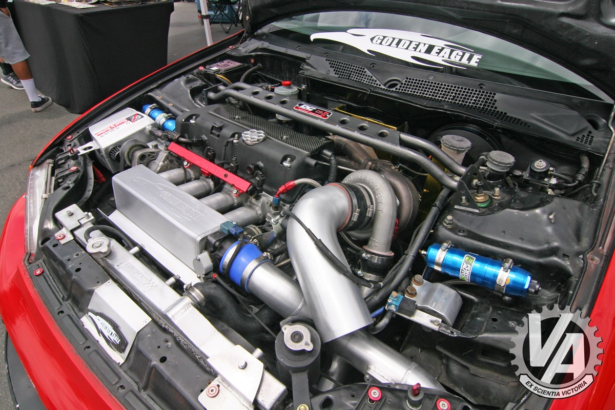 Zoom in IMG_5238.jpg