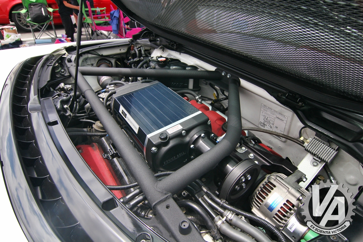 Zoom in IMG_5243.jpg