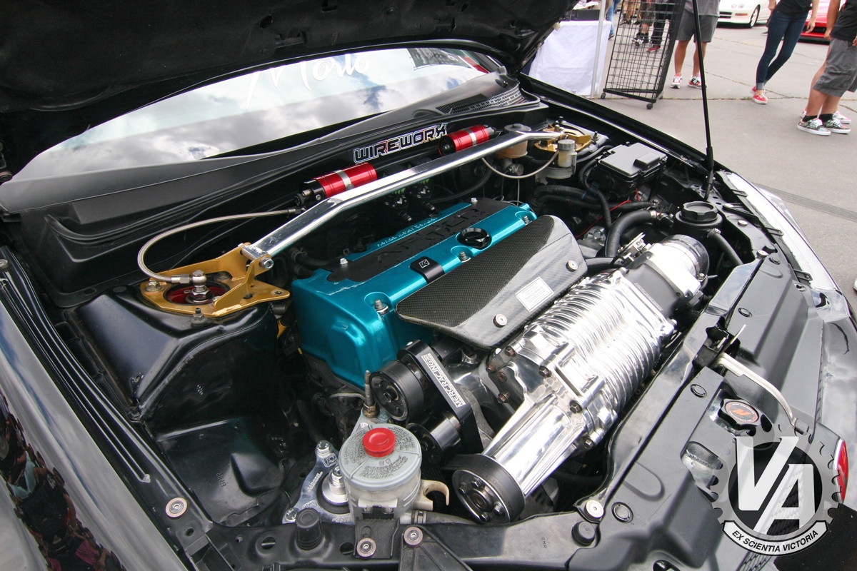 Zoom in IMG_5259.jpg