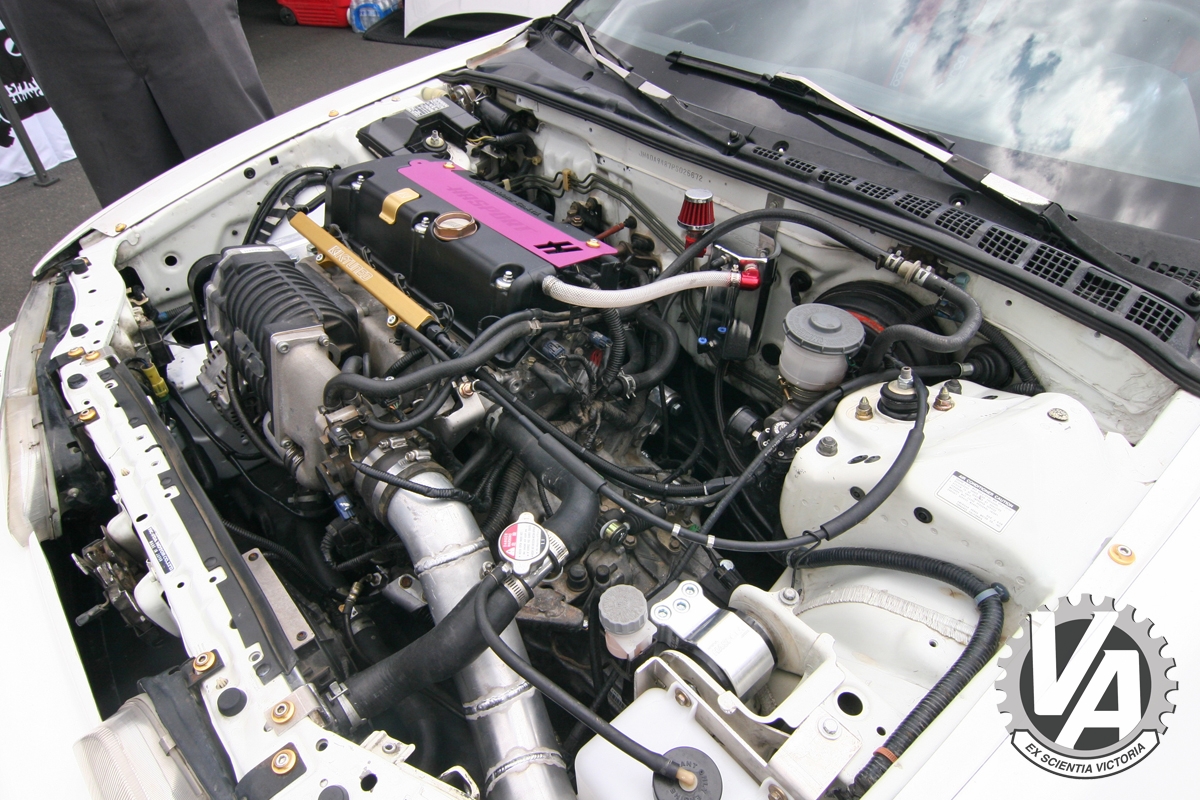 Zoom in IMG_5266.jpg