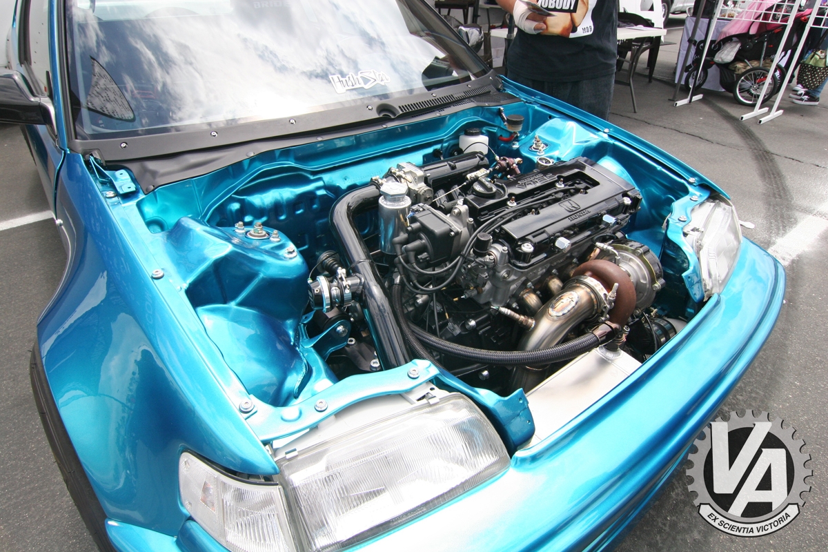 Zoom in IMG_5268.jpg