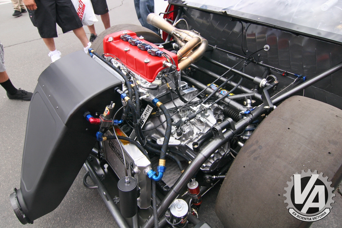 Zoom in IMG_5274.jpg