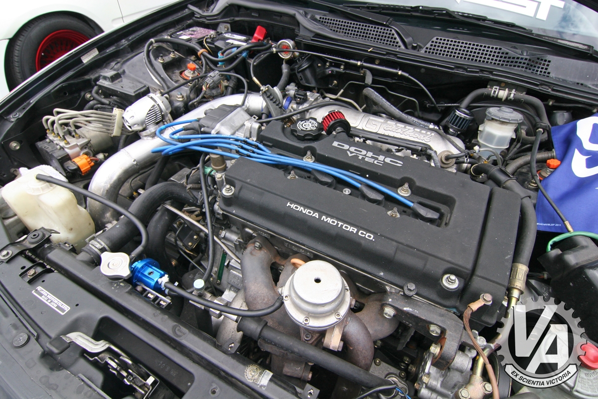 Zoom in IMG_5289.jpg