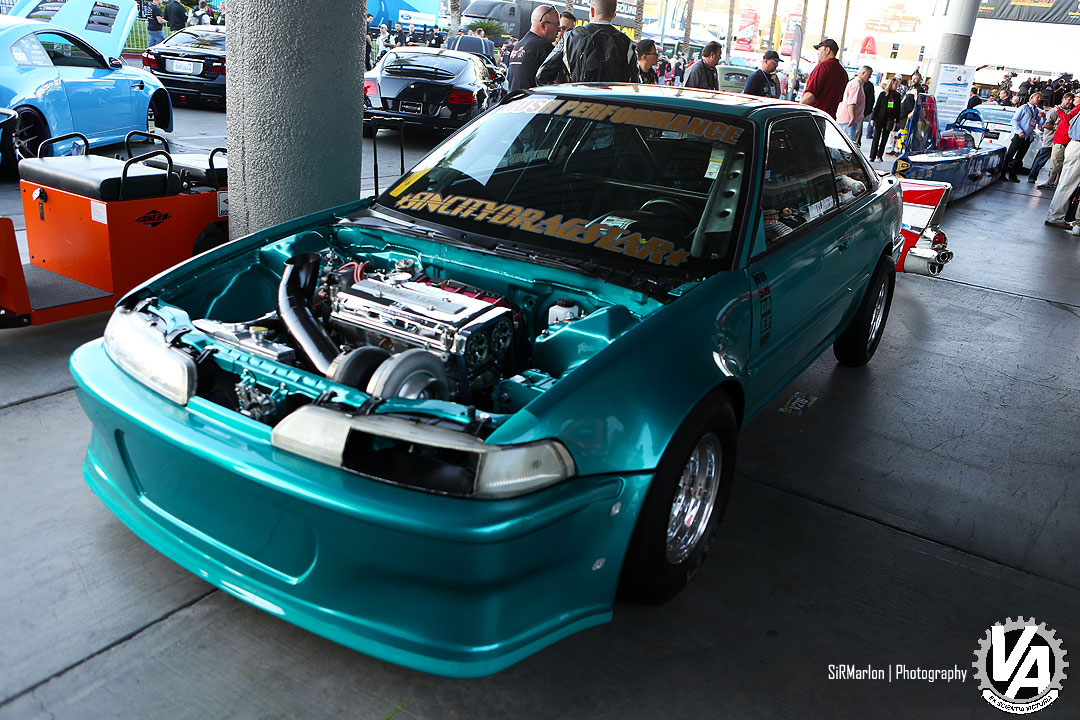 Zoom in IMG_6537.jpg