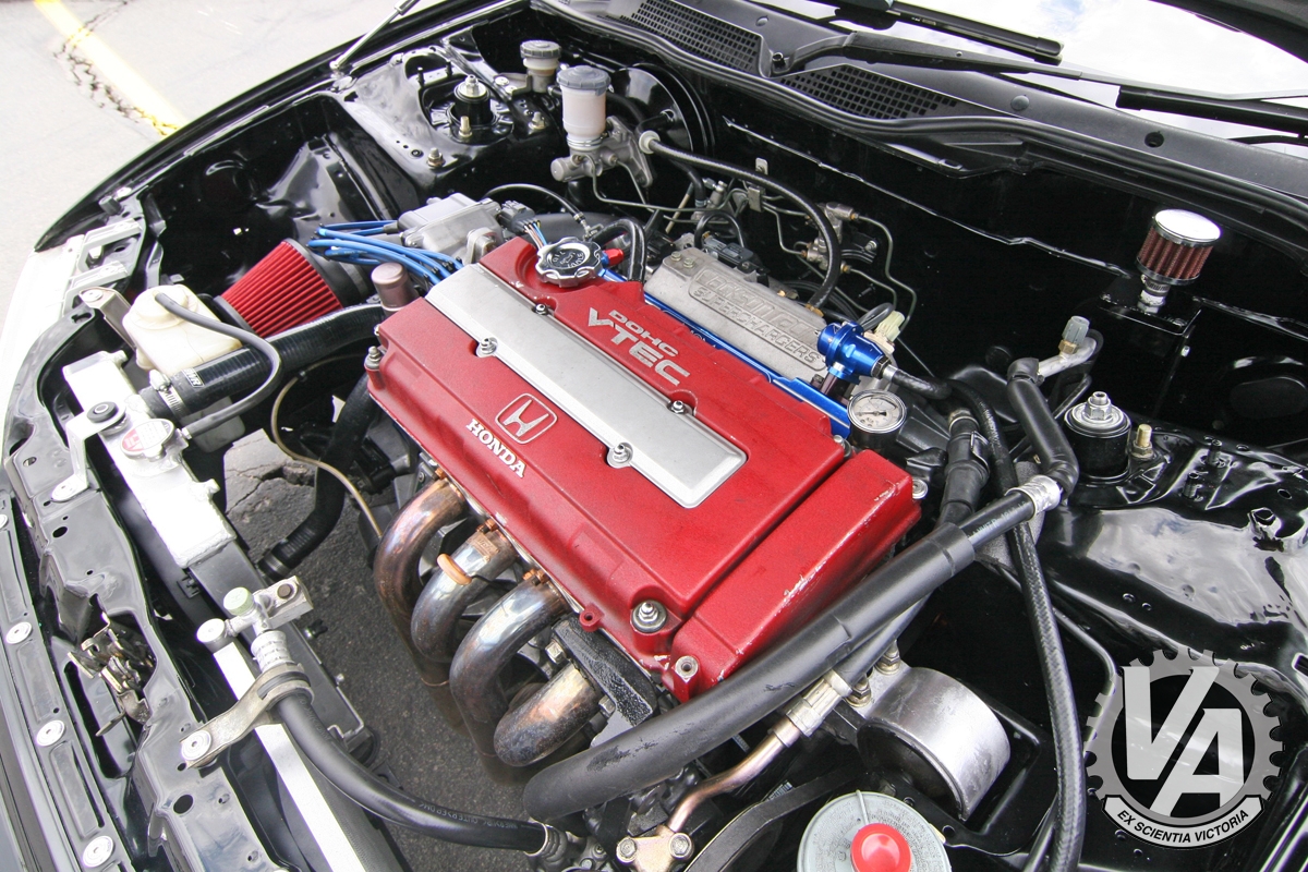 Zoom in IMG_5295.jpg