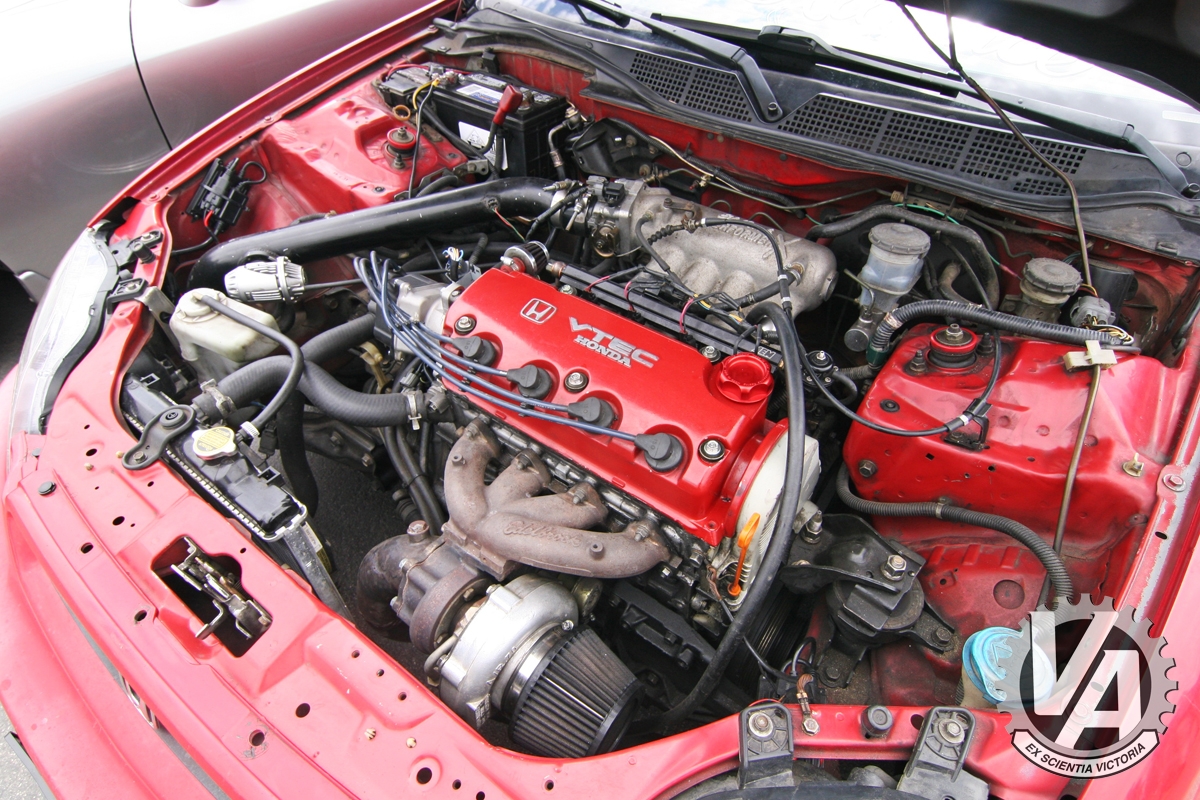 Zoom in IMG_5306.jpg