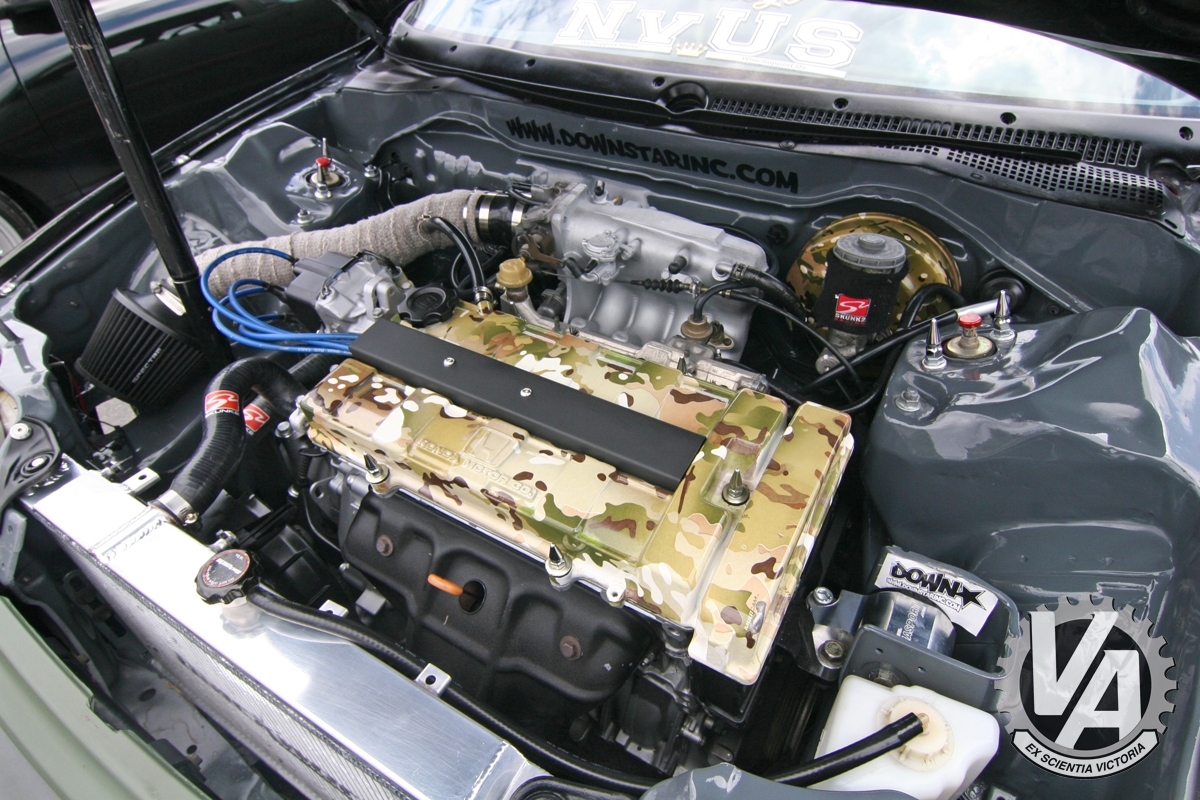 Zoom in IMG_5312.jpg