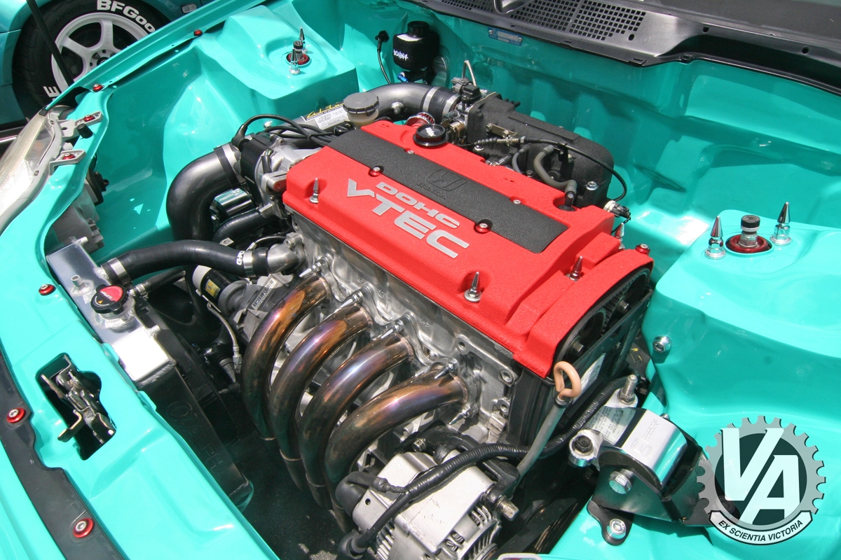 Zoom in IMG_5324.jpg