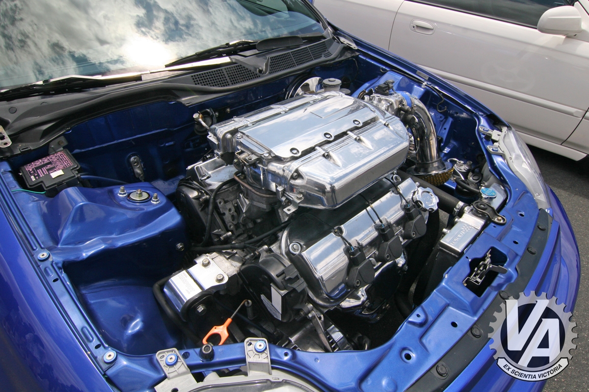 Zoom in IMG_5337.jpg