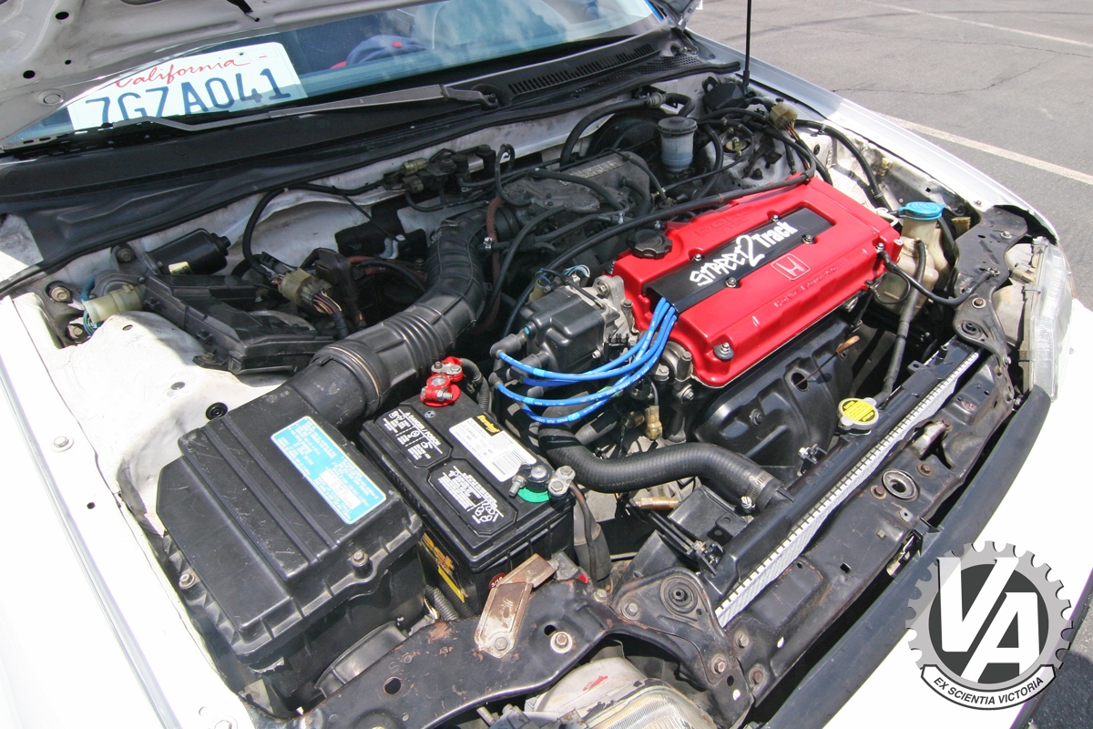 Zoom in IMG_5341.jpg