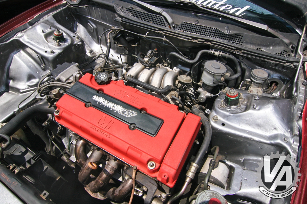 Zoom in IMG_5342.jpg