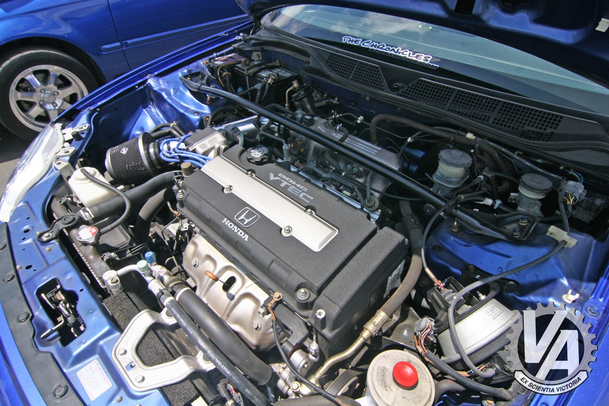 Zoom in IMG_5343.jpg