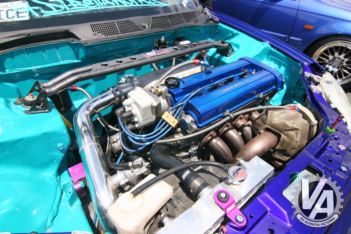 Zoom in IMG_5348.jpg