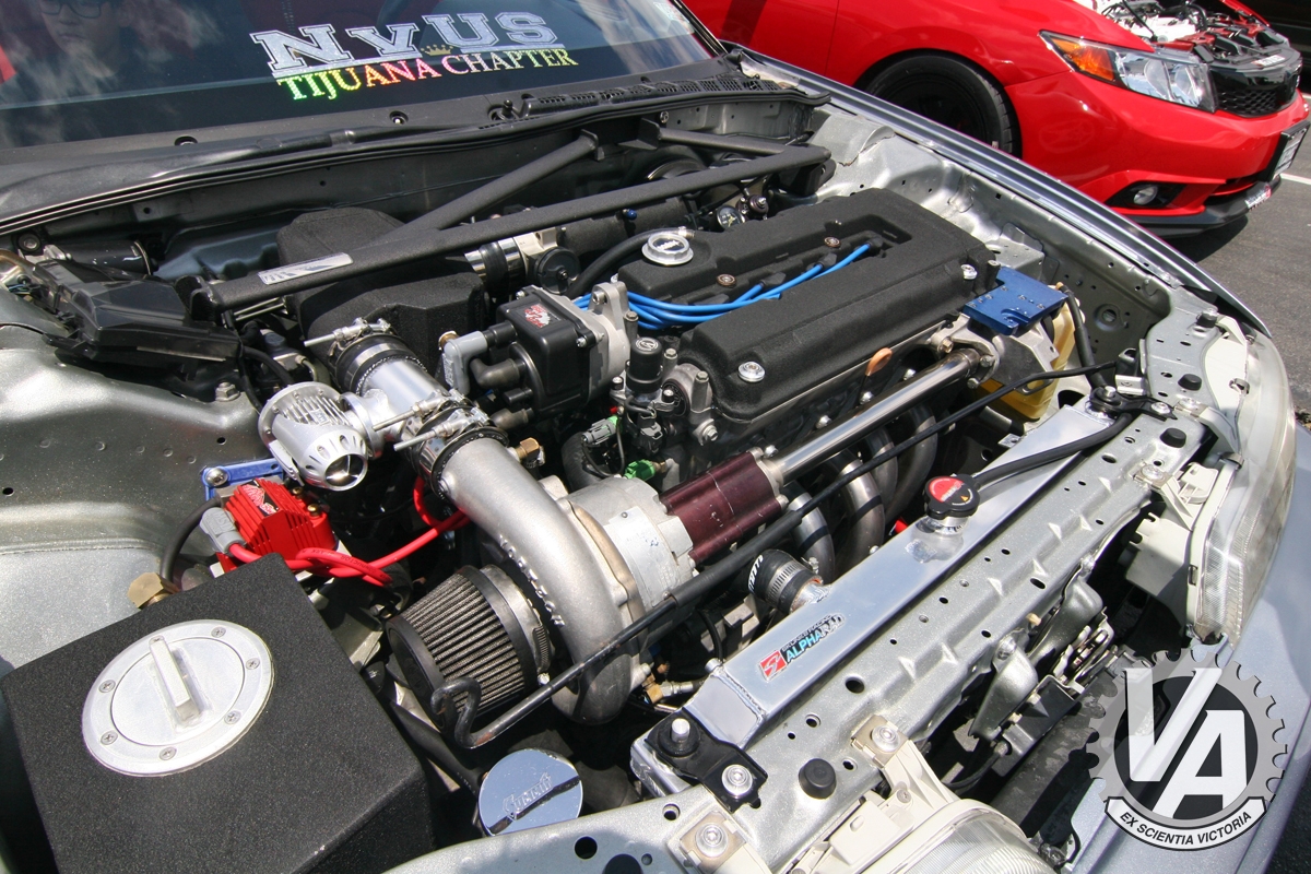 Zoom in IMG_5349.jpg