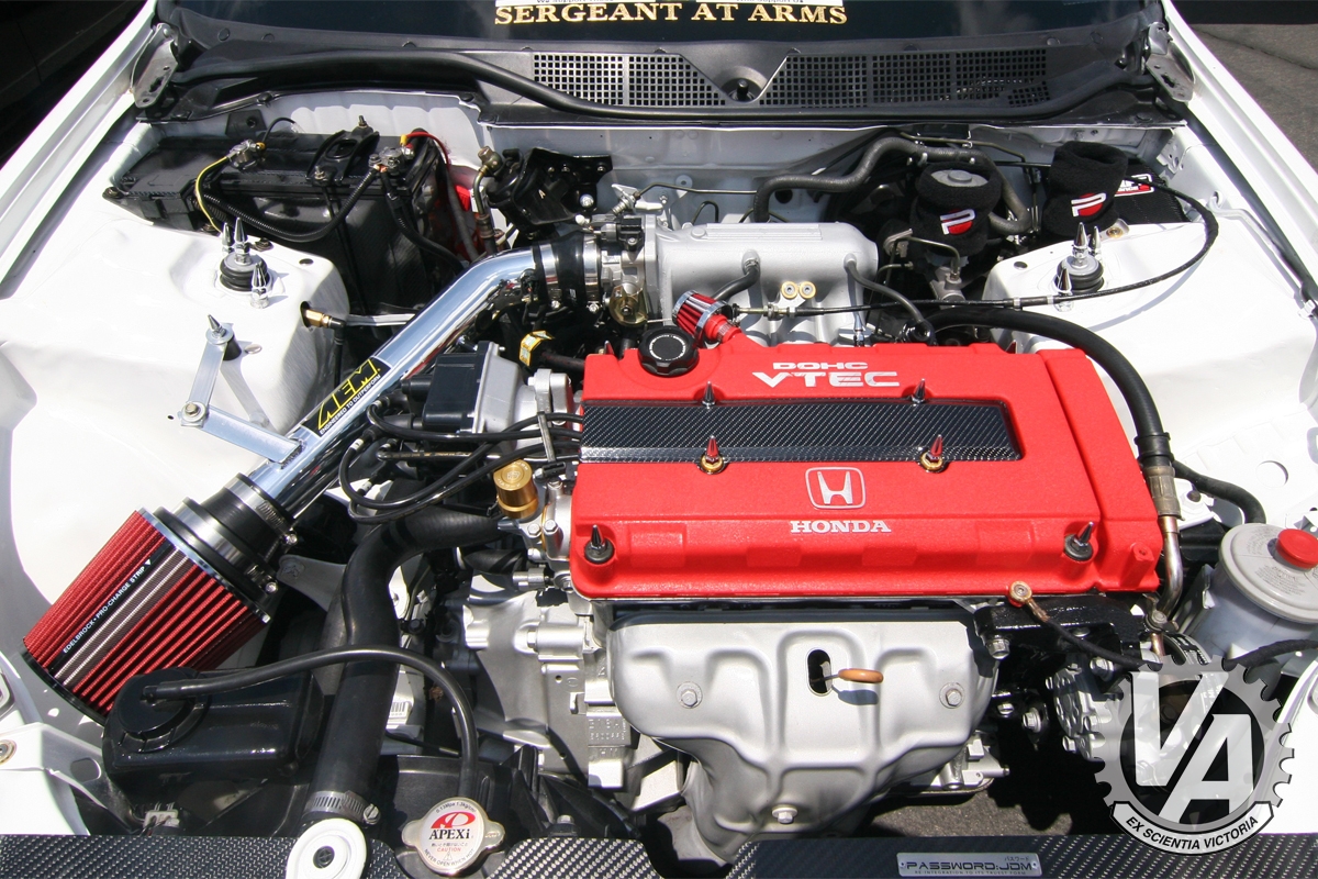 Zoom in IMG_5351.jpg