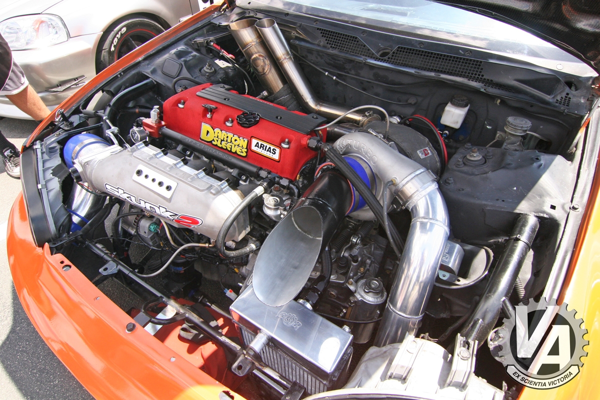 Zoom in IMG_5358.jpg