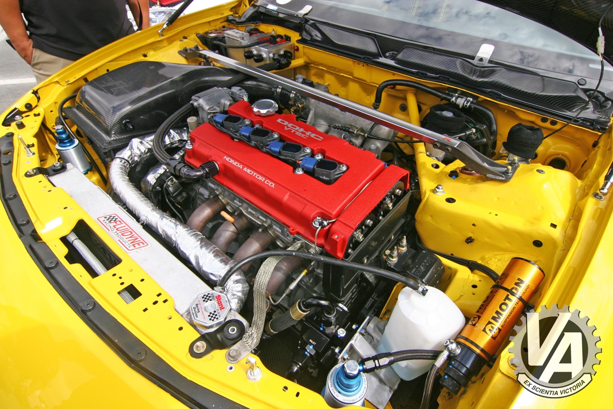 Zoom in IMG_5399.jpg