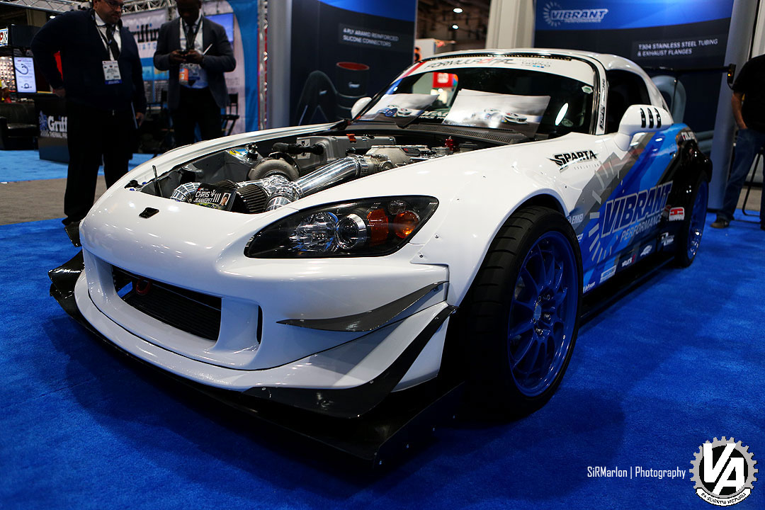 Zoom in IMG_6485.jpg