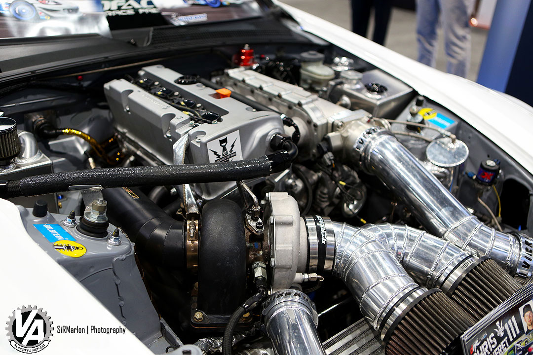 Zoom in IMG_6484.jpg